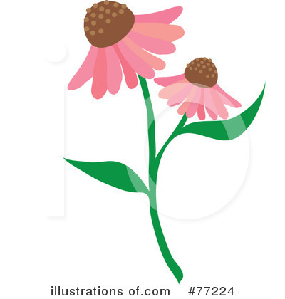 Cone Flower Clipart.