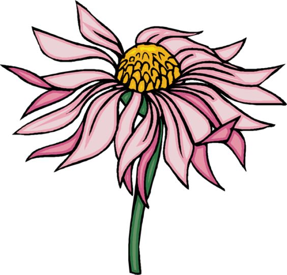 Clip art, Flower and Pink on Pinterest.