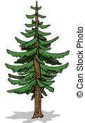 Coniferous tree Vector Clipart EPS Images. 4,053 Coniferous tree.