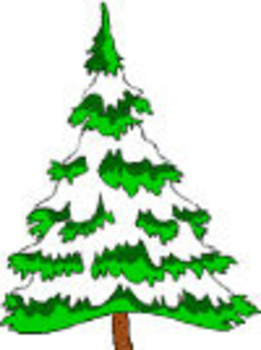 Coniferous Trees Clipart.