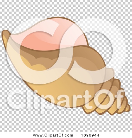 Clipart Brown Conch Shell.