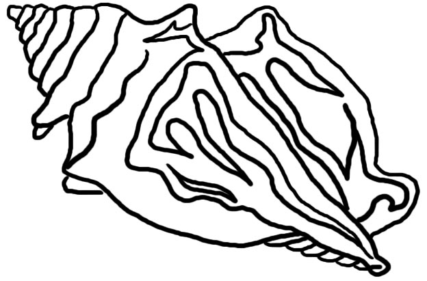 Conch Shell Clip Art.