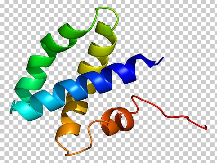 Prosaposin Saposin Protein Domain Gene Activator PNG.
