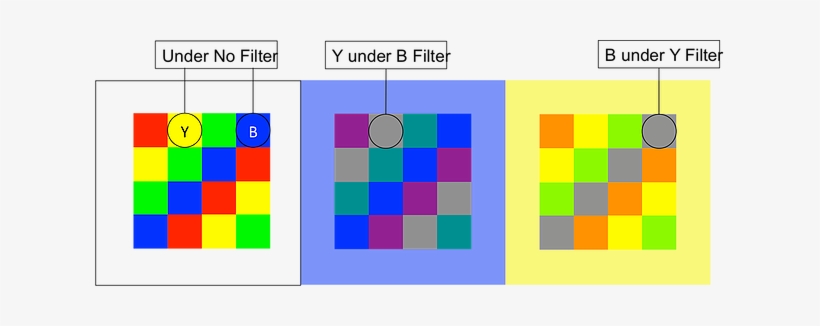 Constancy Of Color.