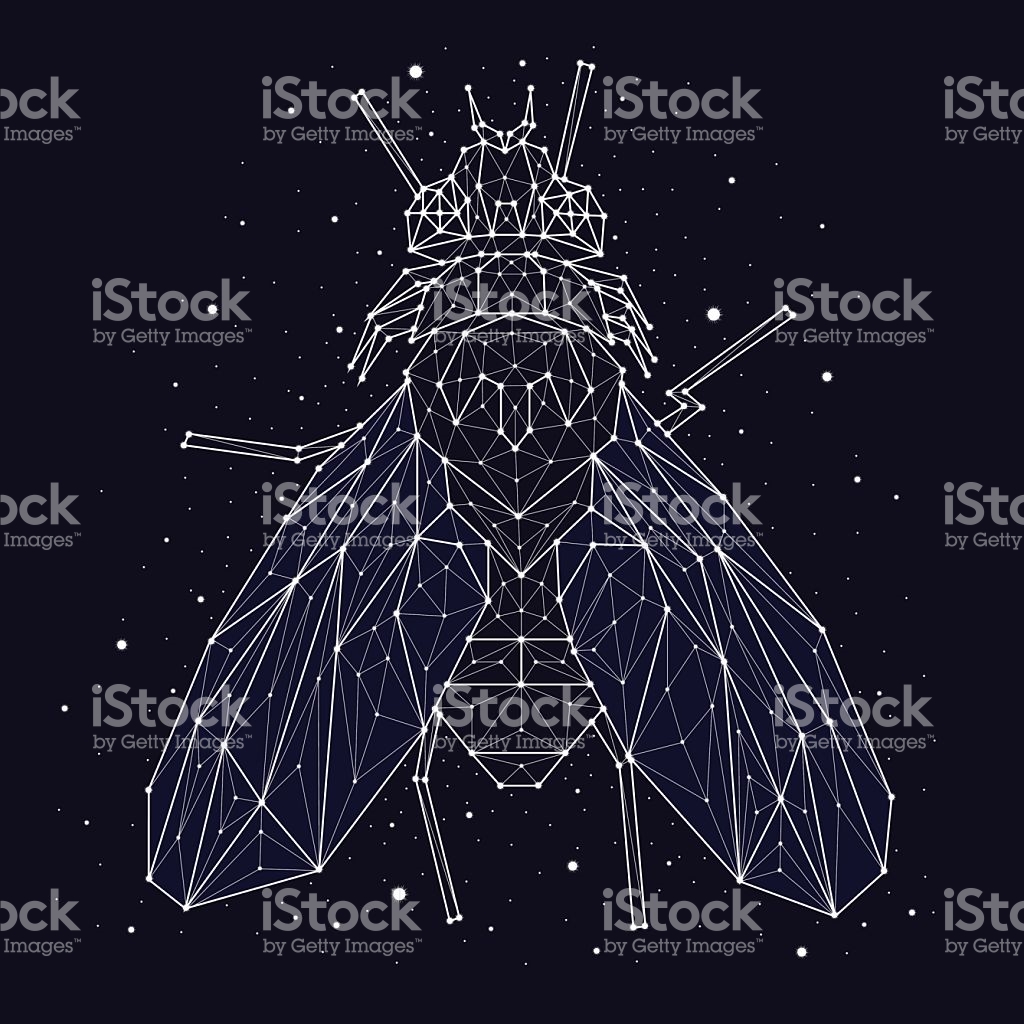 Constellation Fly stock vector art 625642566.