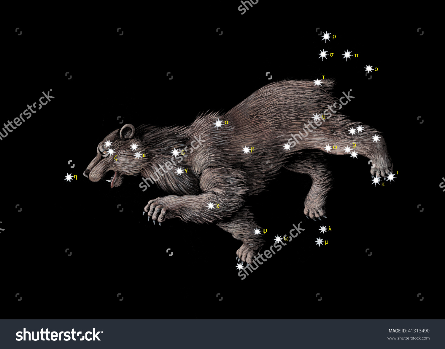 Constellation Great Bear Ursa Major Stock Illustration 41313490.