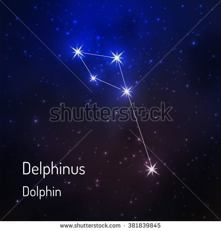 Dorado Swordfish Constellation Night Starry Sky Stock.