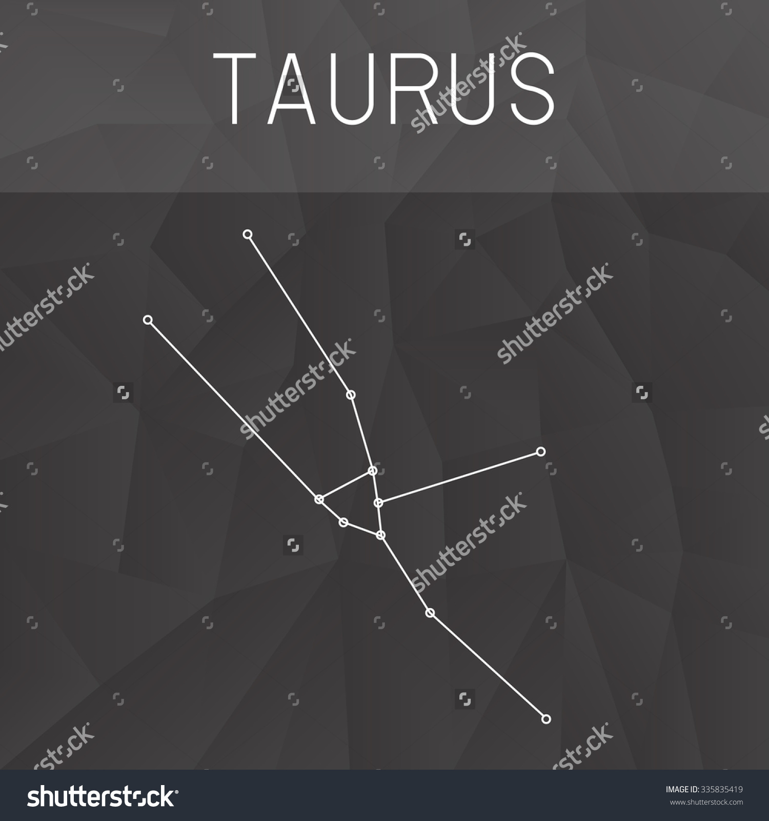 Taurus Constellation Stock Vector 335835419.