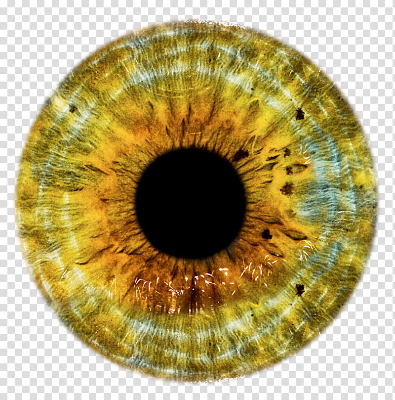 Eye Lenses, brown contact lens transparent background PNG.