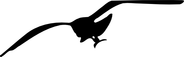 Seagull Contour clip art Free vector in Open office drawing svg.