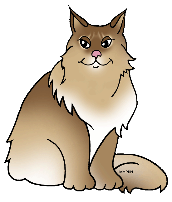 Free Animals Clip Art by Phillip Martin, Maine Coon Cat.