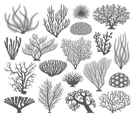 Coral clipart black and white 3 » Clipart Station.