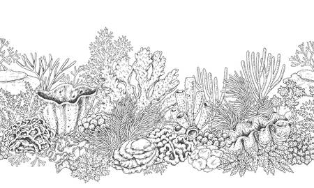 27,687 Coral Cliparts, Stock Vector And Royalty Free Coral Illustrations.