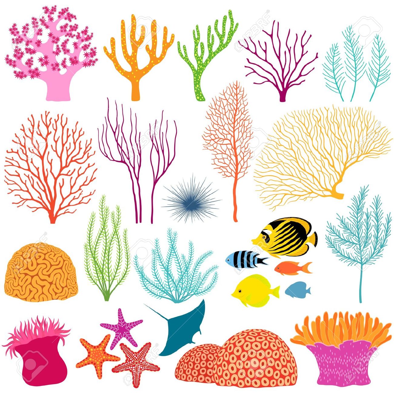 Cartoon Coral Reef Drawing - How To Draw A Coral Reef | Bodewasude