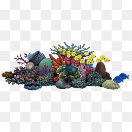 Coral Reef Png Free & Free Coral Reef.png Transparent Images.