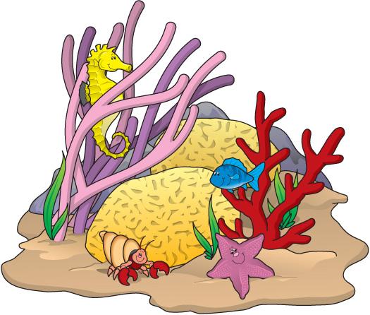 Coral Clipart Images.