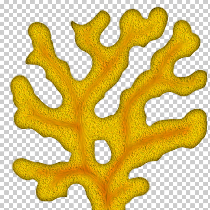 Coral reef , Coral Tree s PNG clipart.