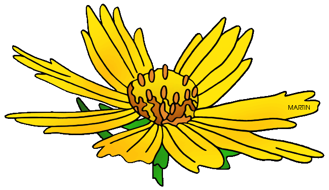 Free Flowers Clip Art by Phillip Martin, Coreopsis.