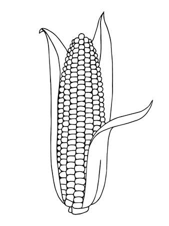 corn clipart black and white 20 free Cliparts | Download images on ...