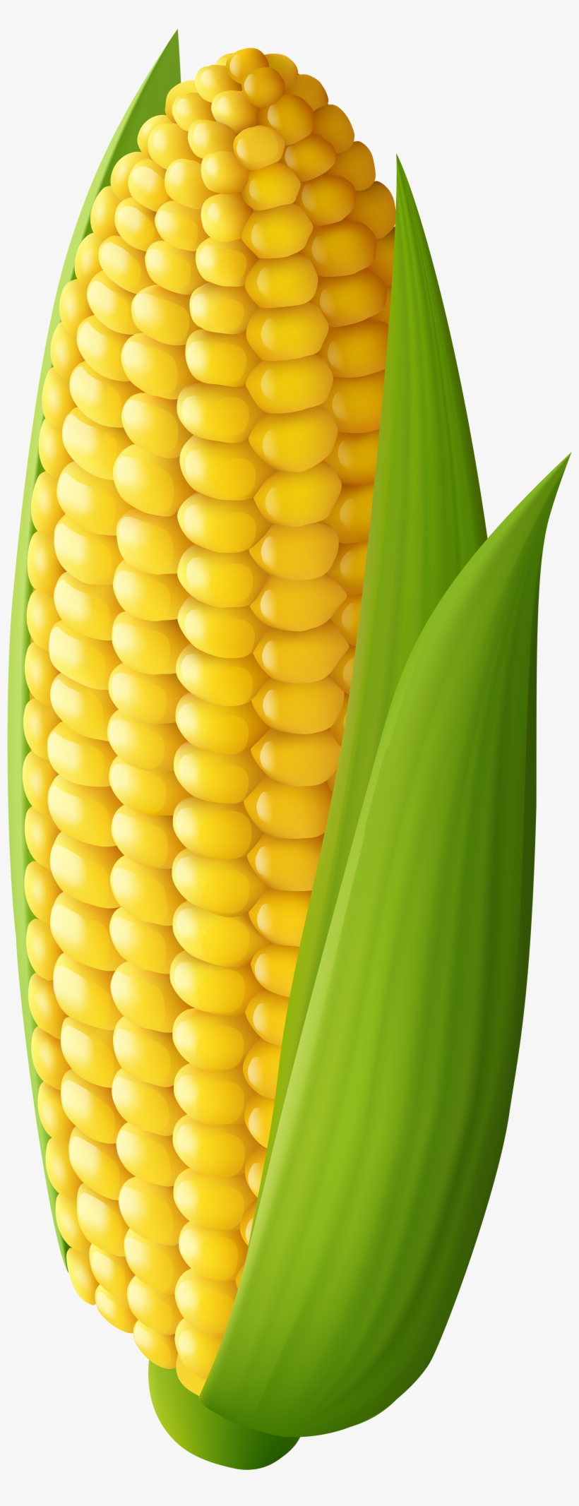 Corn Transparent Png Clip Art Image.