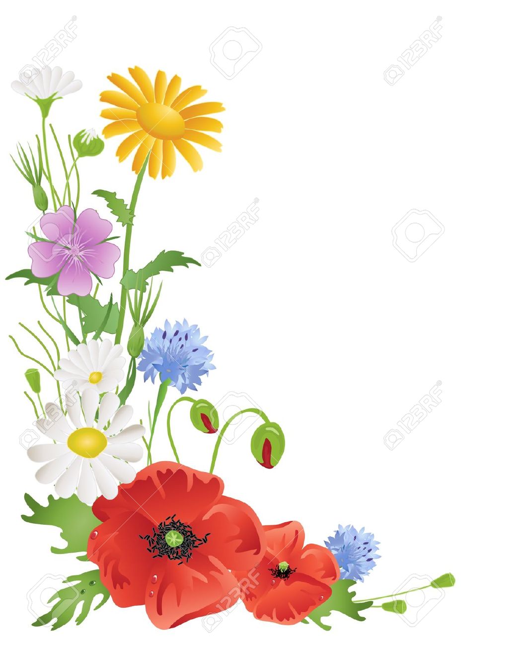 An Illustration Of An Arrangement Of Annual Wildflowers With.