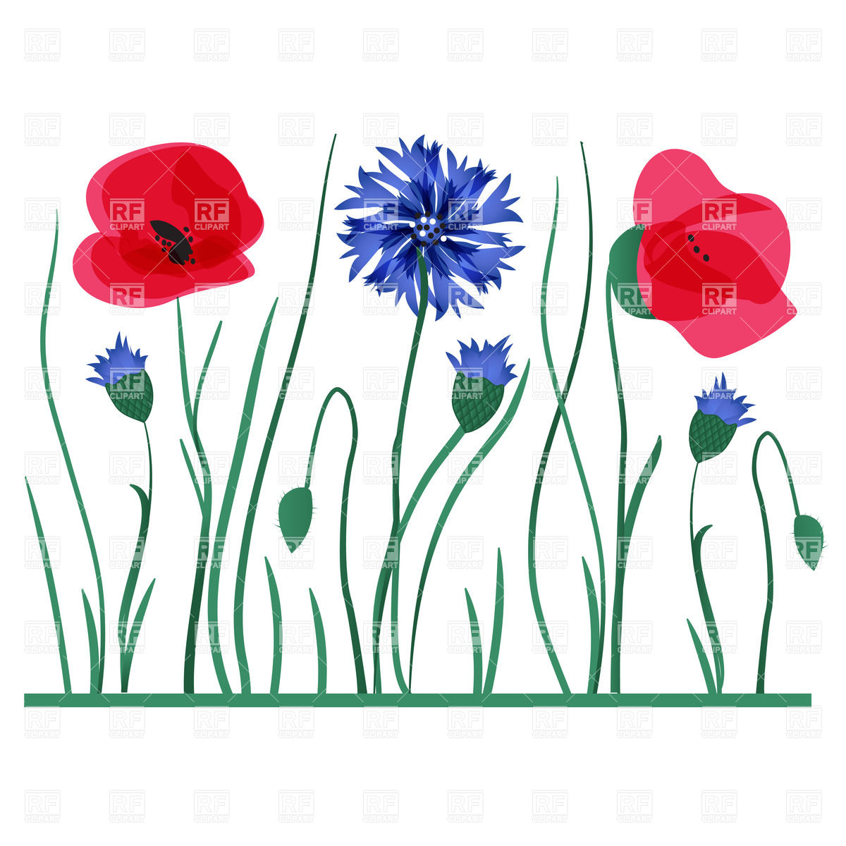 Cornflower Clip Art.