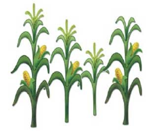 Corn stalks clip art.