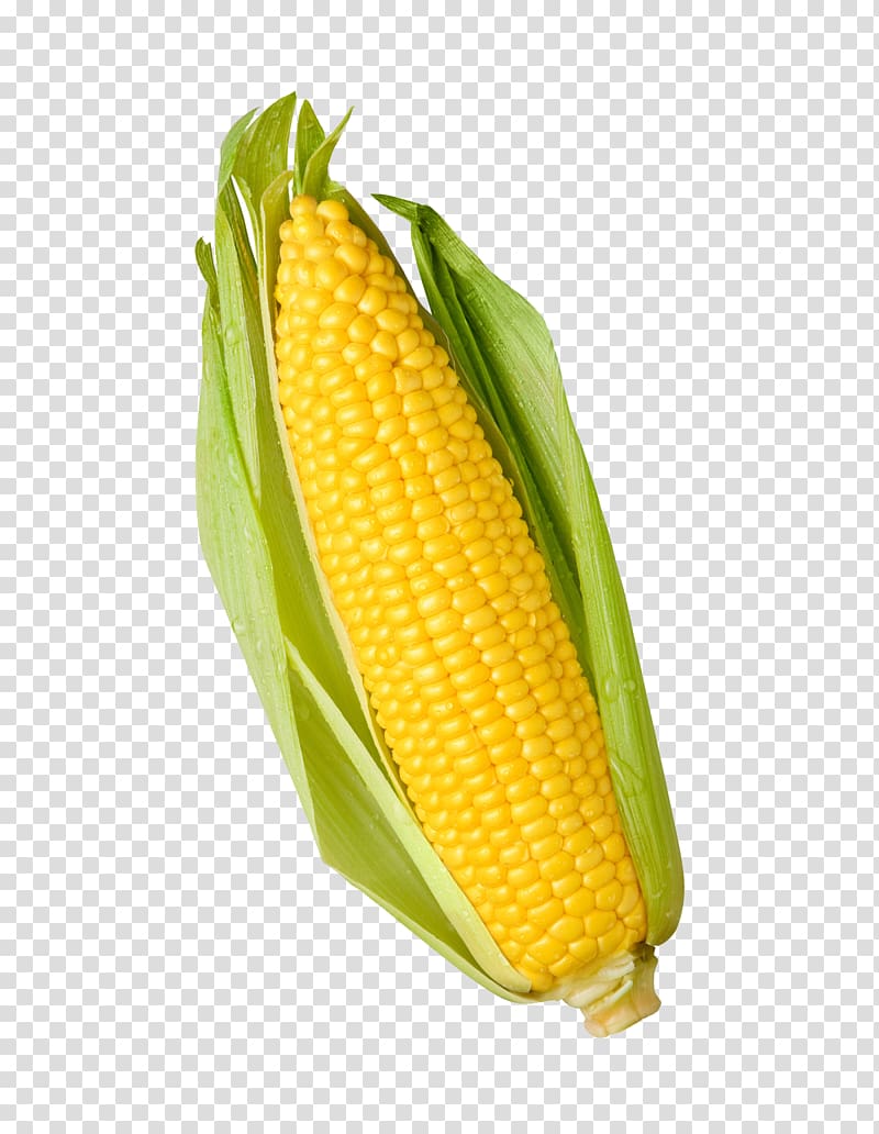 Sweet corn 0, Popcorn Candy corn Sweet corn Corn kernel Maize, corn.
