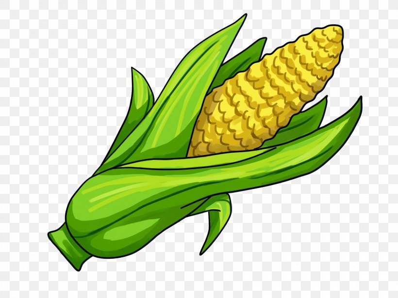 Corn On The Cob Maize Clip Art, PNG, 1600x1200px, Corn On.