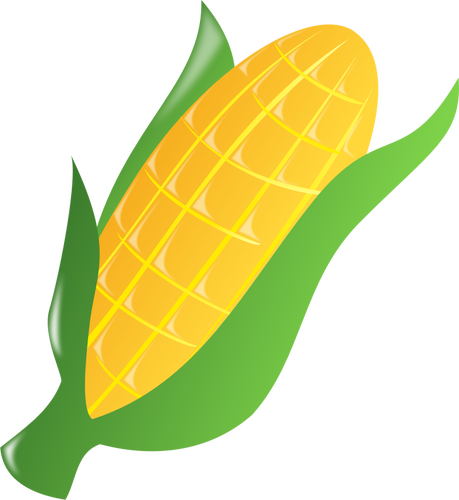Corn on the cob clipart 20 free Cliparts | Download images on ...