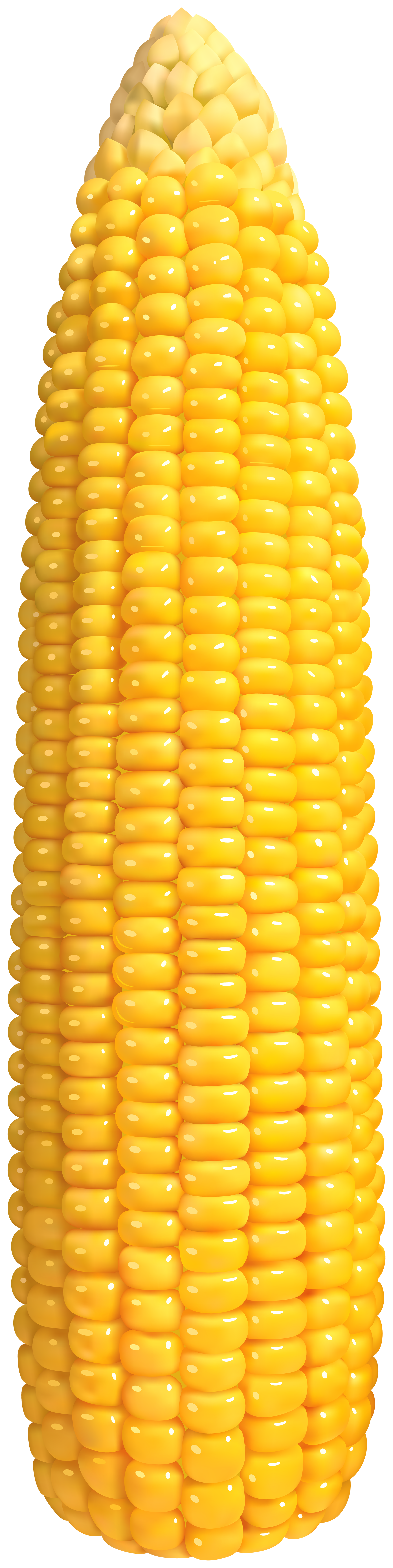 Corn PNG Clip Art.