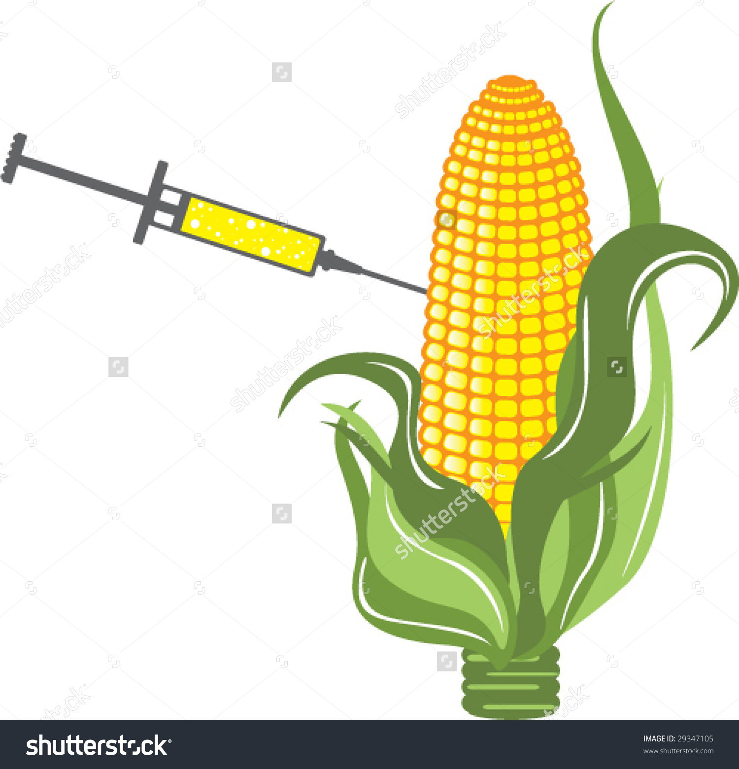 Genetically Modified Corn Syringe Injects Poison Stock Vector.