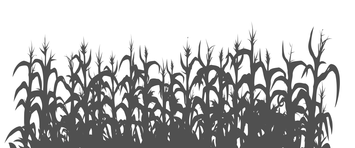 cornfield png 20 free Cliparts | Download images on Clipground 2024