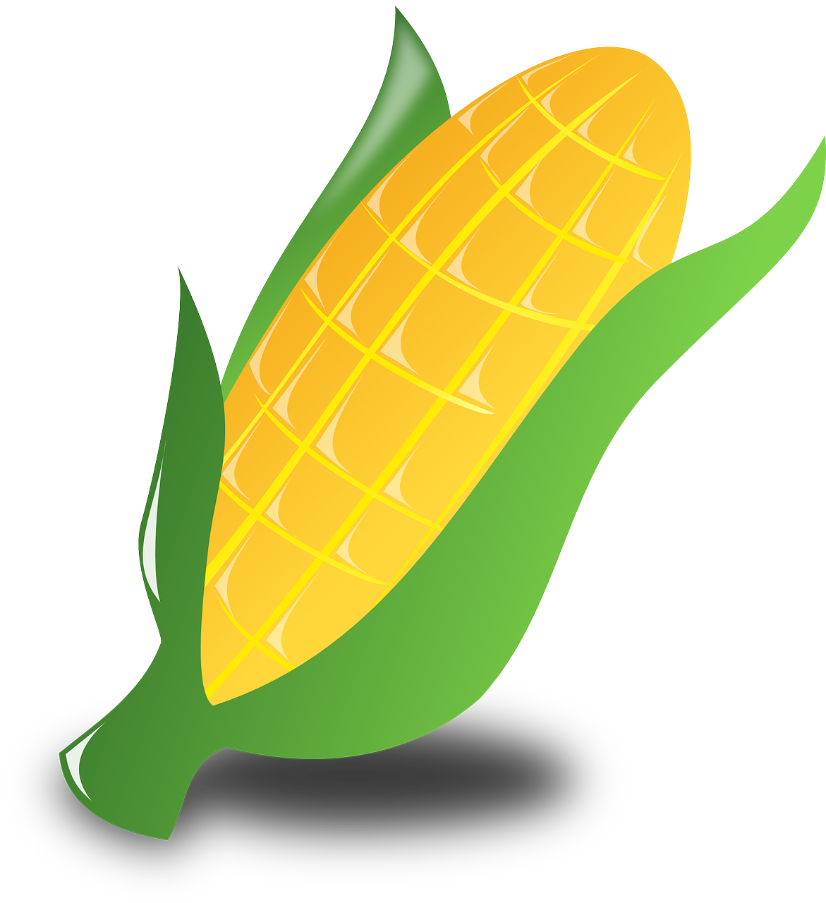 Crops clipart corn cob, Picture #839697 crops clipart corn cob.