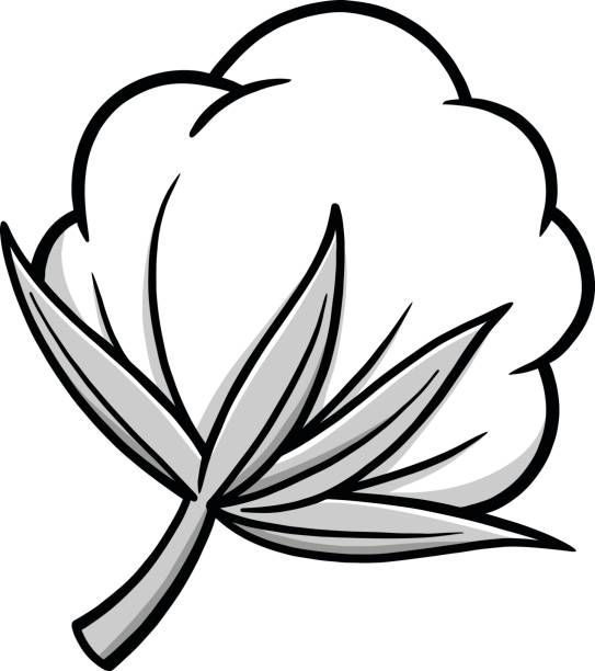 cotton clipart.