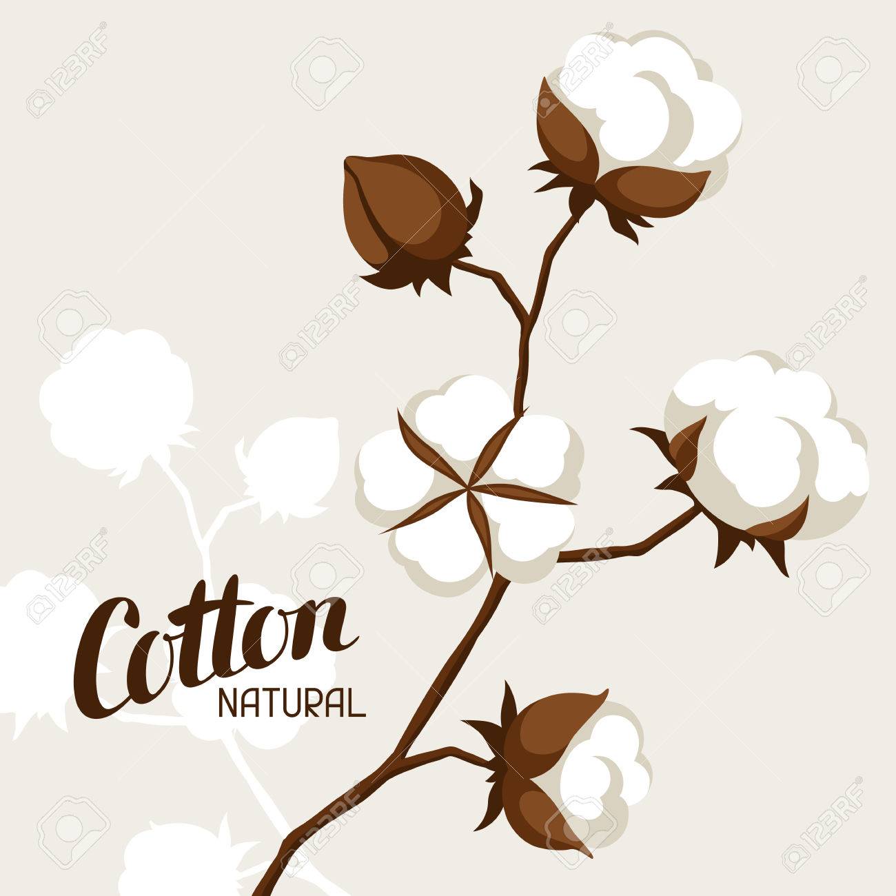 cotton boll clipart 20 free Cliparts | Download images on Clipground 2024
