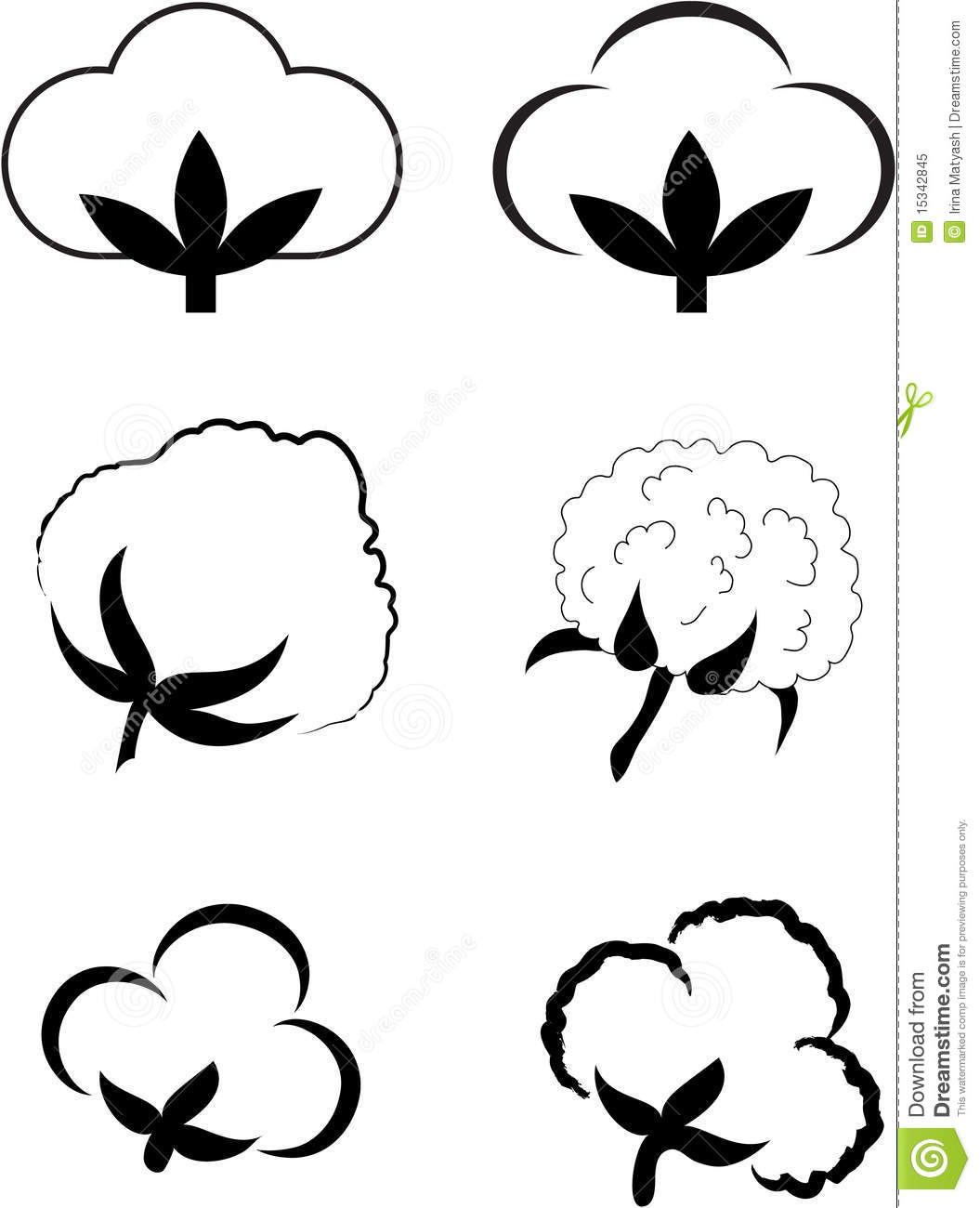 Cotton flower clipart 20 free Cliparts | Download images on Clipground 2024