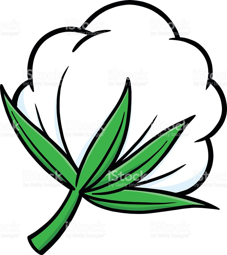 Cotton Plant Clipart 20 Free Cliparts Download Images On Clipground 2023
