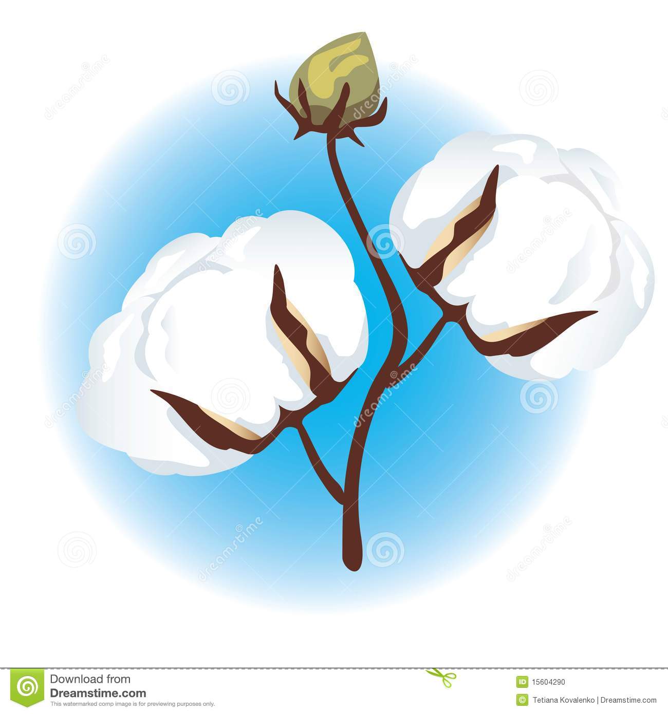 Cotton plant clipart 20 free Cliparts | Download images on Clipground 2023