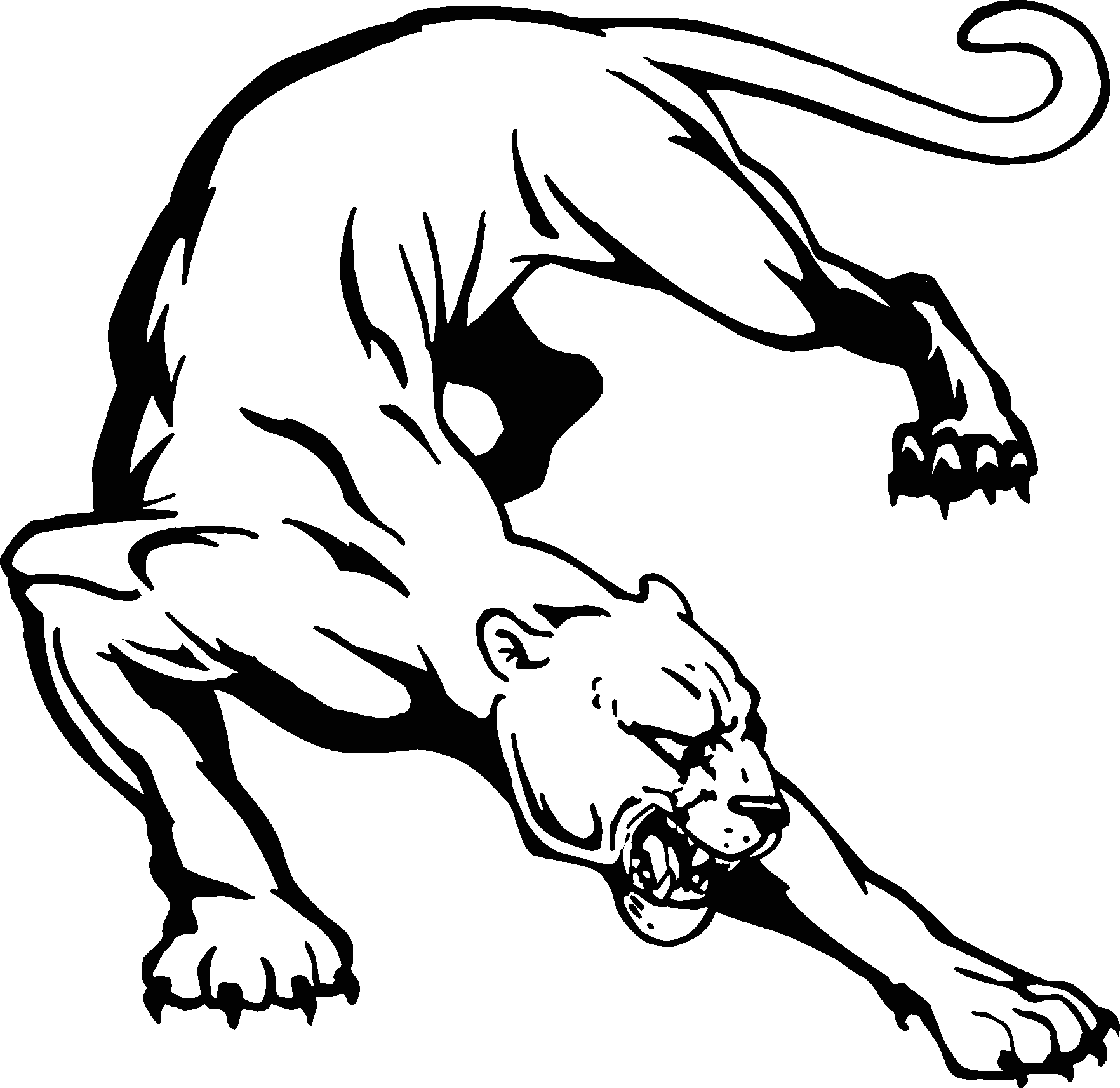 Free Cougar Mascot Clipart, Download Free Clip Art, Free Clip Art on.