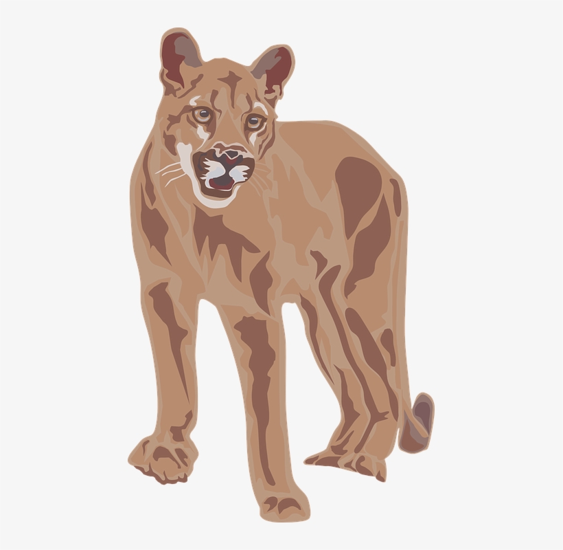 cougar png 18 free Cliparts | Download images on Clipground 2021