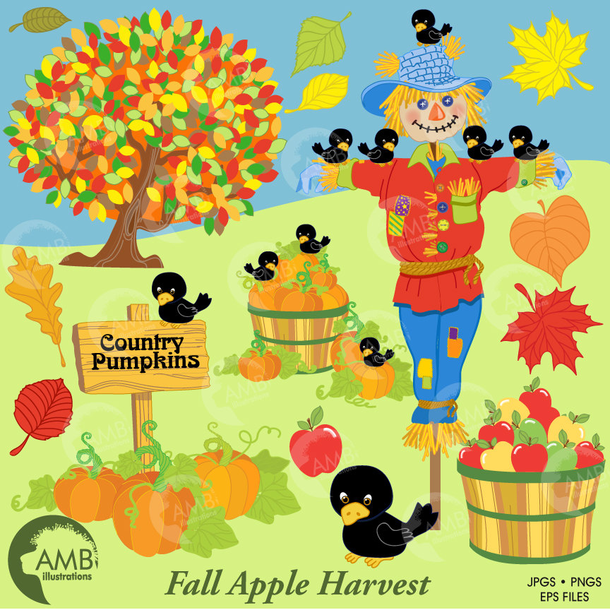 Harvest clipart, Thanksgiving clipart, Fall clip art, Autumn clipart,  Scarecrow AMB.