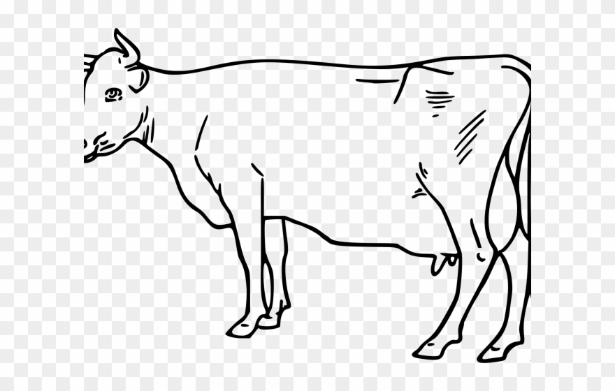 Cattle Clipart Outline.