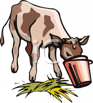 Cow Eating Clipart.