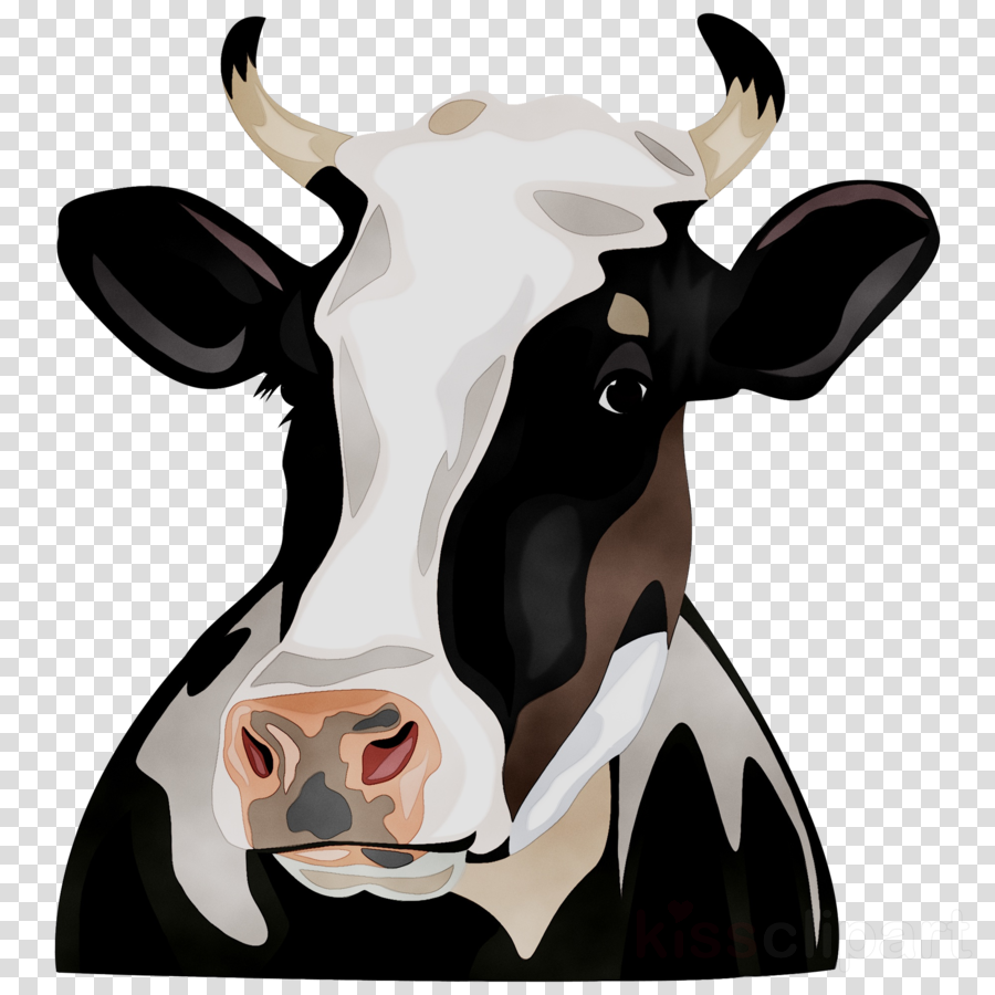 cow family clipart 20 free Cliparts | Download images on Clipground 2024