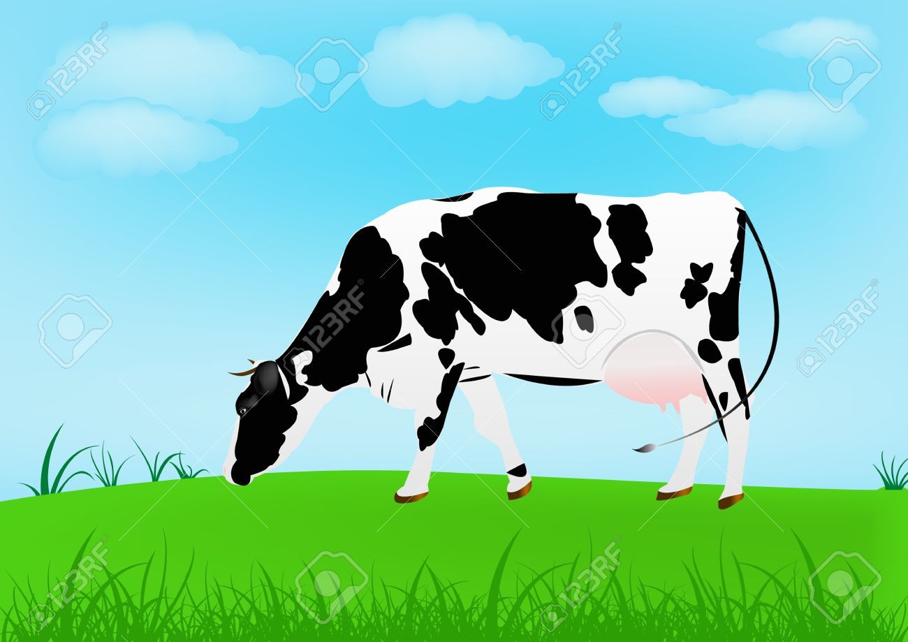 Cow grazing clipart 1 » Clipart Portal.