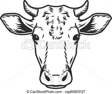Cow head vector icon. Outline drawn style.