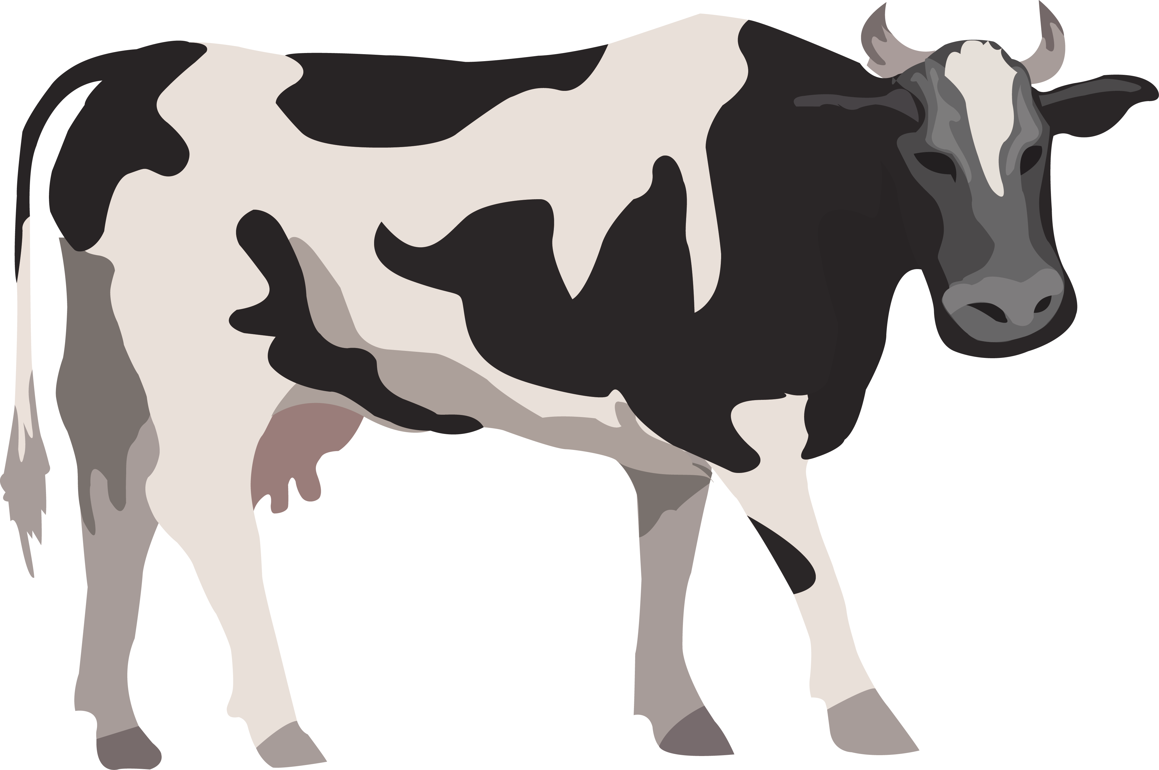 cattle-clipart-animation-cattle-animation-transparent-free-for-riset