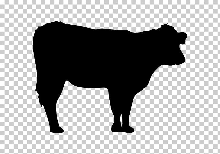 Hereford cattle Santa Gertrudis cattle Silhouette, cows PNG clipart.