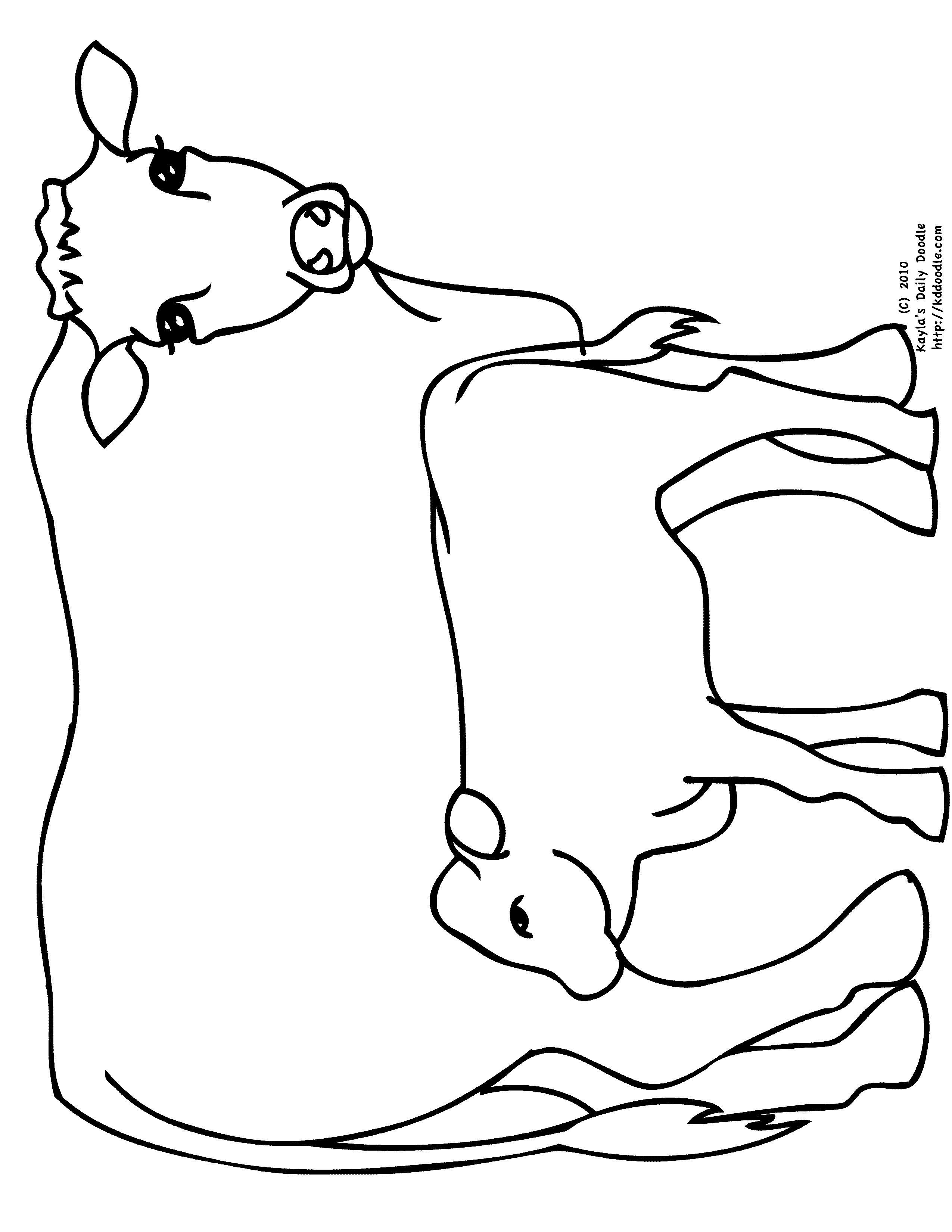 Angus Cow Coloring Pages